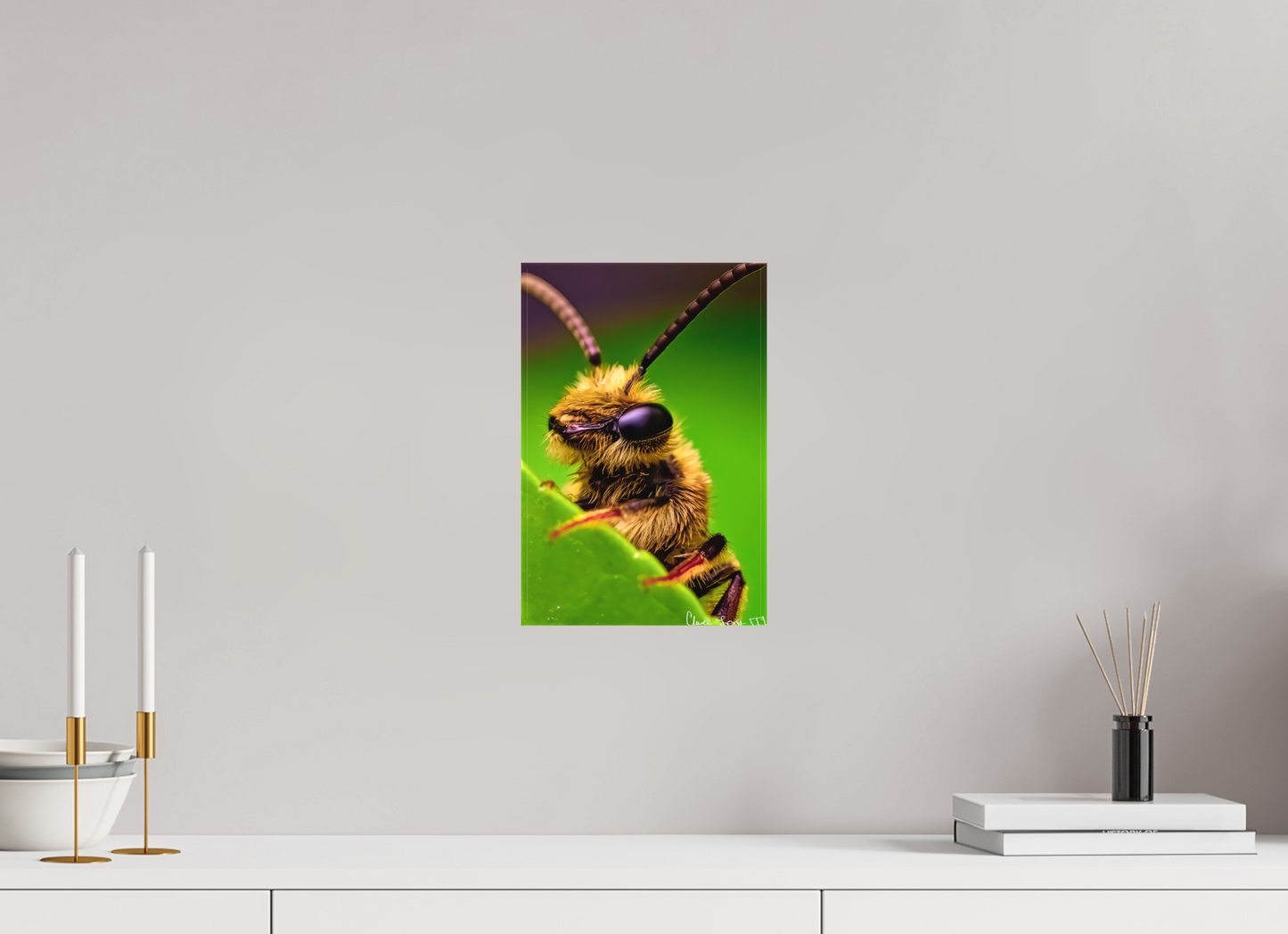 8 x 12″, Matte Canvas The Cutest Bee