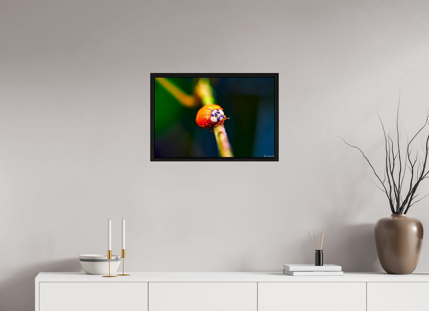 24 x 16″, Floater Frame Black Oak Dew-Kissed Ladybug
