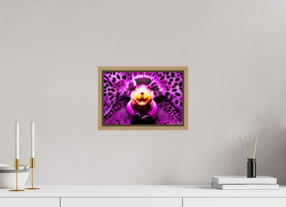 12 x 8″, Floater Frame Natural Oak Piercing Gaze