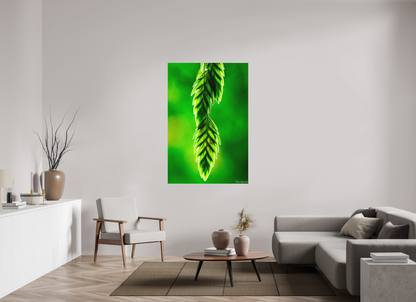 40 x 60″, Matte Metal Harmonic Trinity