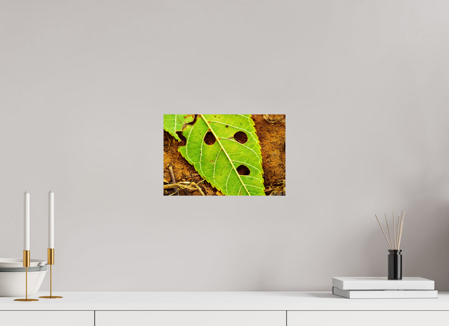 12 x 8″, Glossy Metal Flabbergasted