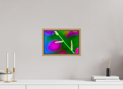 12 x 8″, Floater Frame Natural Oak Technicolor Vibes