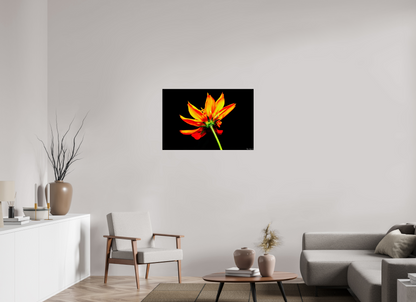 36 x 24″, Acrylic Soaring Phoenix