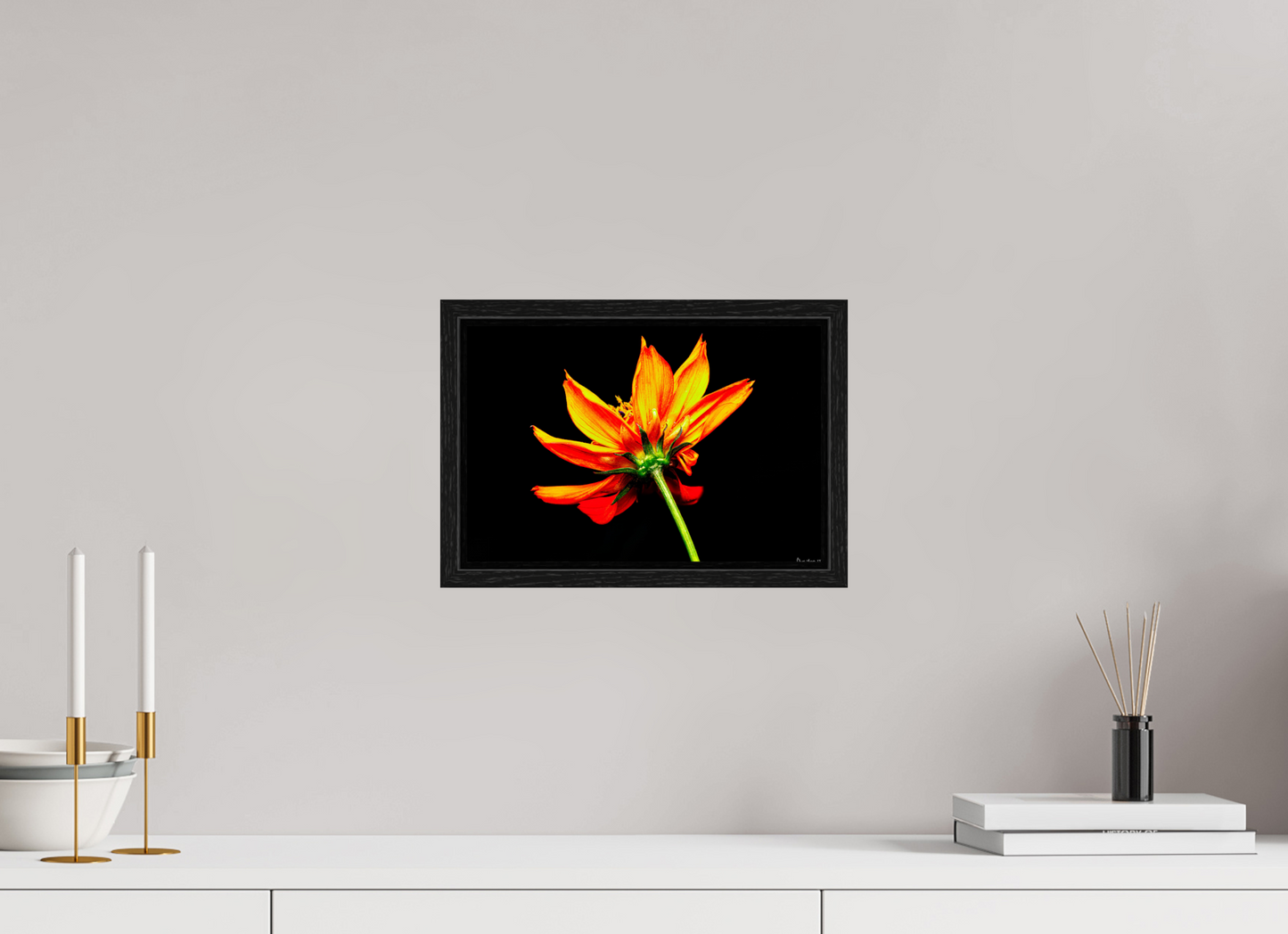 12 x 8″, Floater Frame Black Oak Soaring Phoenix