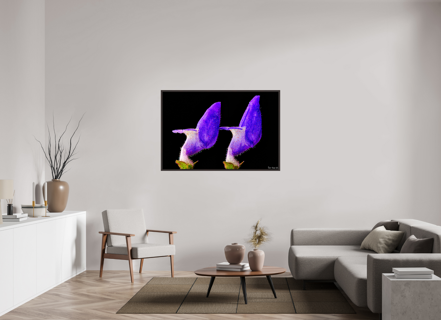 54 x 36″, Floater Frame Alder Brown Coleus Barbatus
