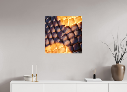 25 x 25″, Glossy Canvas Python’s Glow