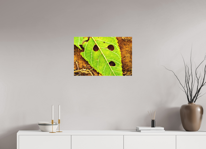 24 x 16″, Matte Canvas Flabbergasted