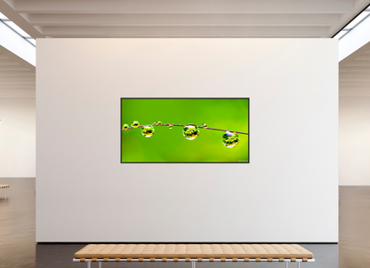 86 x 43″, Floater Frame Alder Brown Refraction