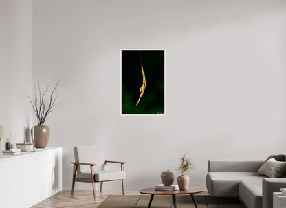24 x 36″, Floater Frame Maple White Nature’s Tether