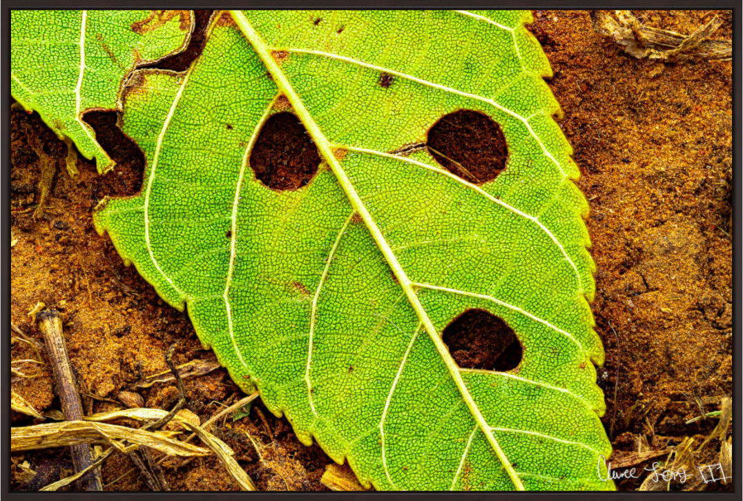 Main image Flabbergasted