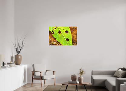 36 x 24″, Matte Canvas Flabbergasted