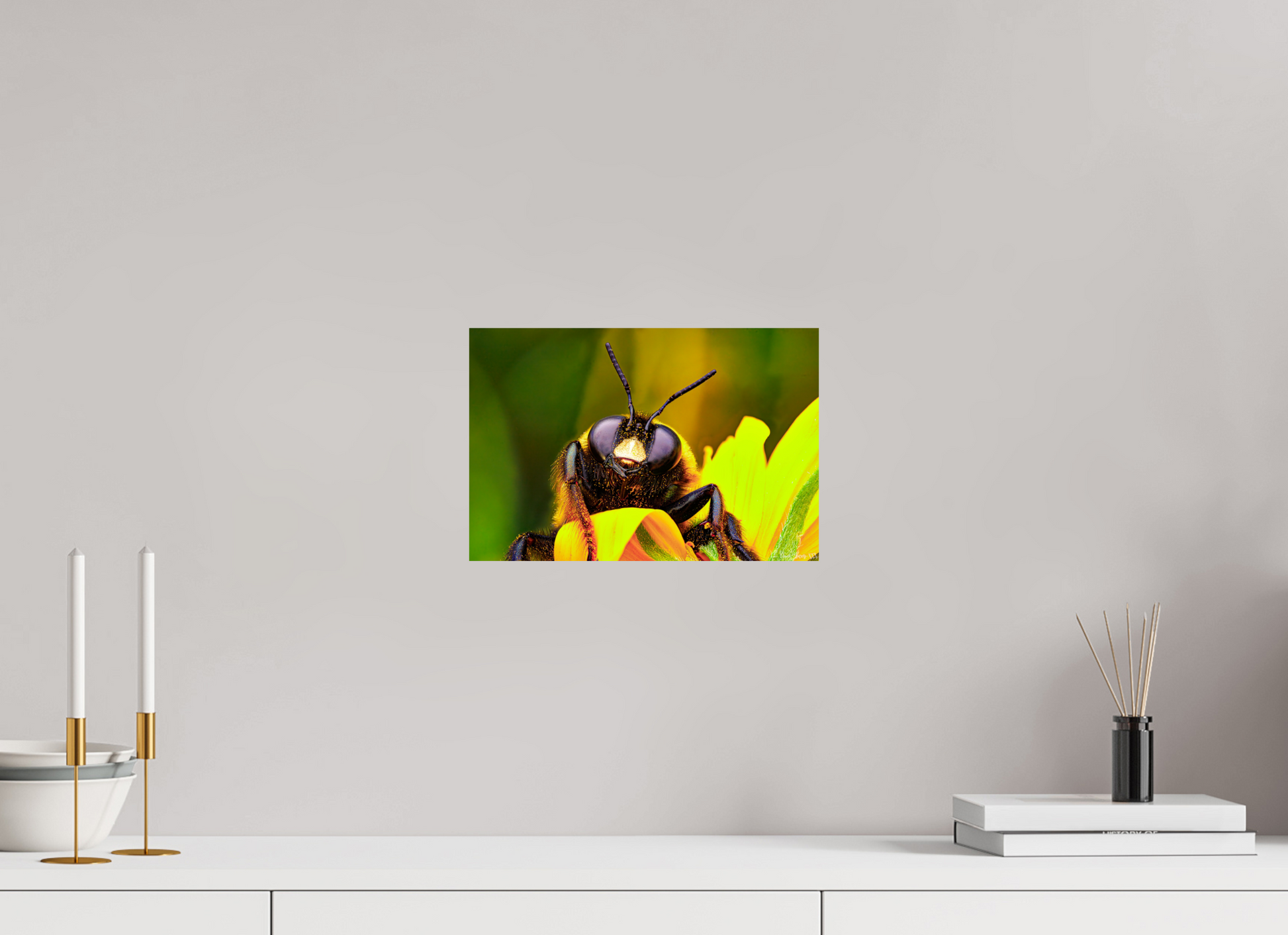 12 x 8″, Glossy Metal The Curious Bumblebee
