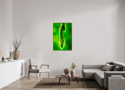 30 x 45″, Floater Frame Natural Oak Harmonic Trinity