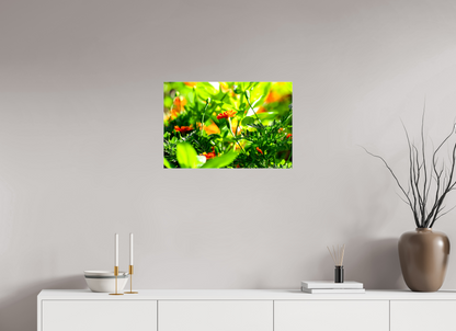 24 x 16″, Glossy Canvas Prominence