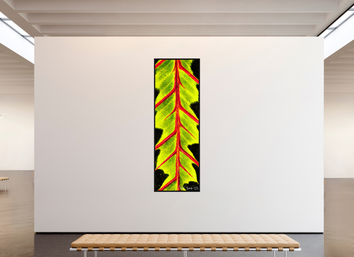 31 x 93″, Floater Frame Black Oak Highlighted Maranta