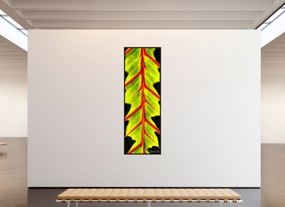 31 x 93″, Floater Frame Black Oak Highlighted Maranta