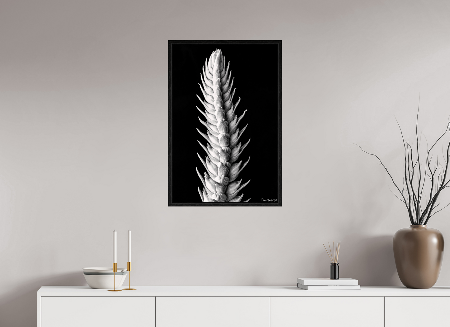 20 x 30″, Floater Frame Black Oak Vertebrae