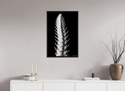 20 x 30″, Floater Frame Black Oak Vertebrae