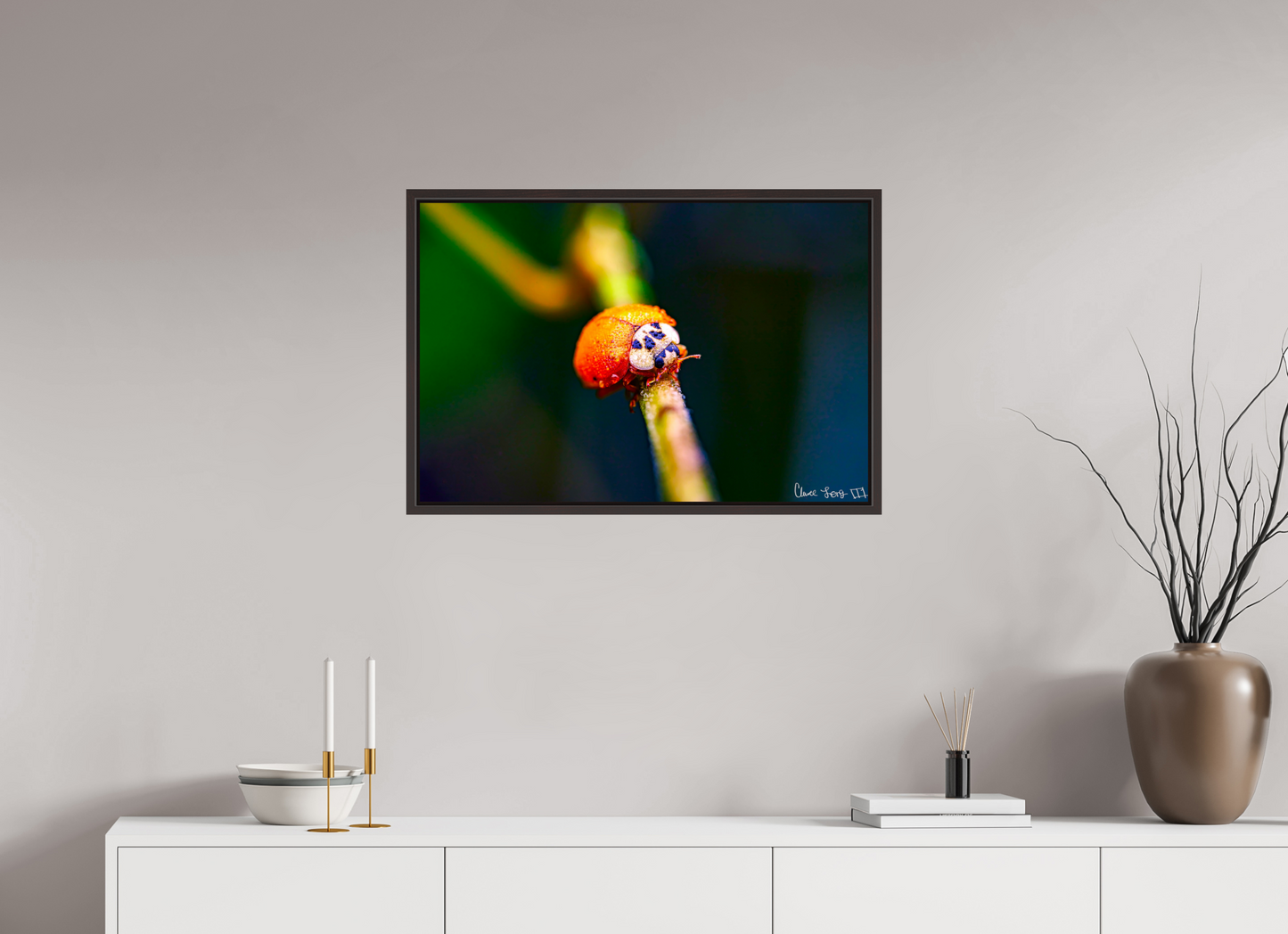 30 x 20″, Floater Frame Alder Brown Dew-Kissed Ladybug