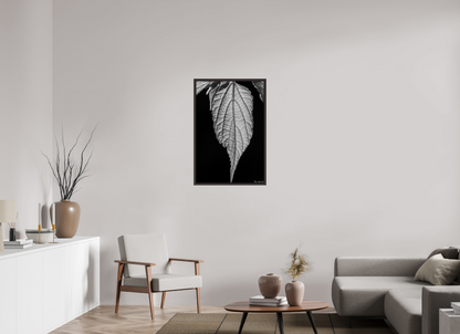 24 x 36″, Floater Frame Alder Brown Reticulate Venation