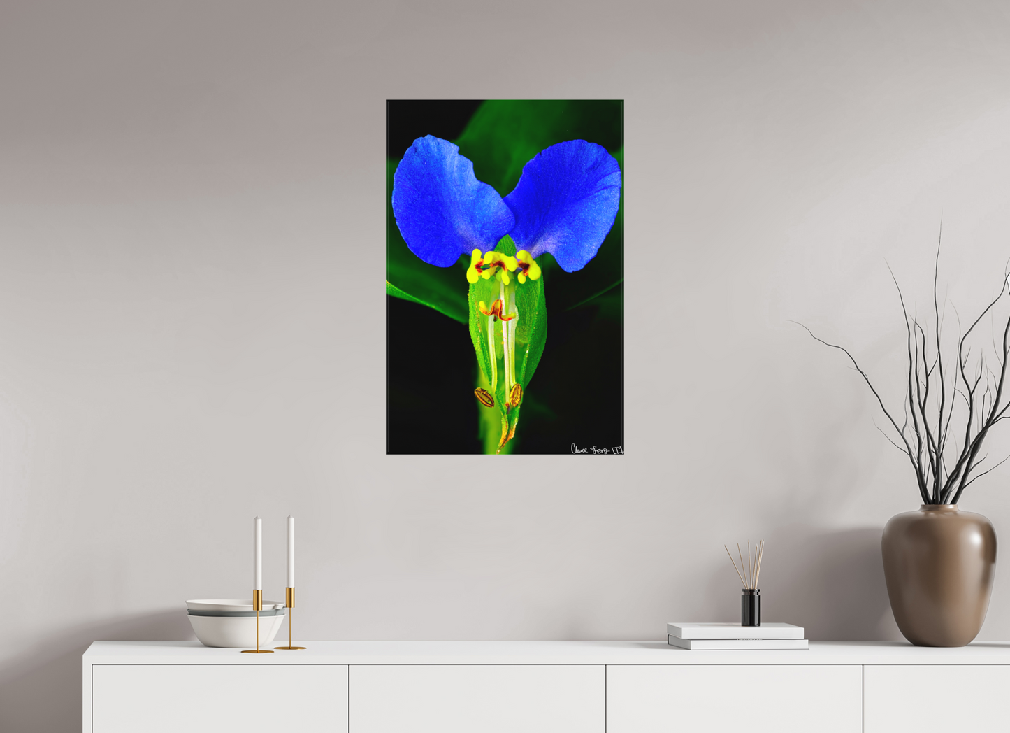 20 x 30″, Matte Canvas Asiatic Dayflower