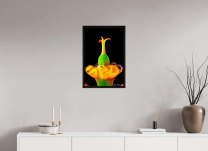 16 x 24″, Floater Frame Black Oak Bubble Fountain