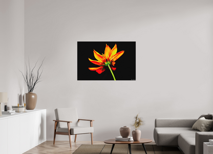 45 x 30″, Matte Metal Soaring Phoenix