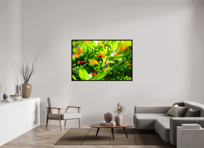 60 x 40″, Floater Frame Black Oak Prominence