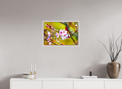24 x 16″, Floater Frame Maple White Cherry Blossom