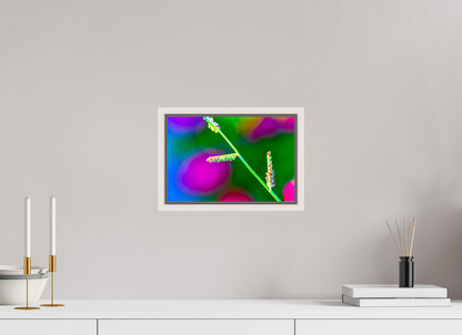 12 x 8″, Floater Frame Maple White Technicolor Vibes