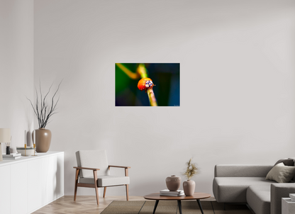 36 x 24″, Acrylic Dew-Kissed Ladybug