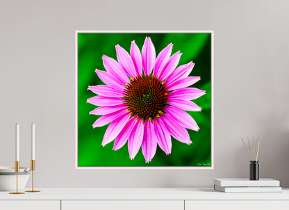 20 x 20″, Floater Frame Maple White Icosidigon