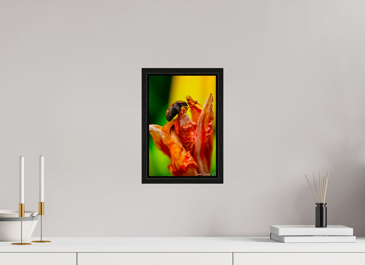 8 x 12″, Floater Frame Black Oak Perched Grave