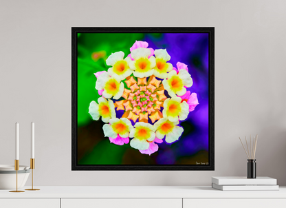 20 x 20″, Floater Frame Black Oak Quintessence