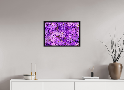 24 x 16″, Floater Frame Black Oak Lavender Moss Phlox