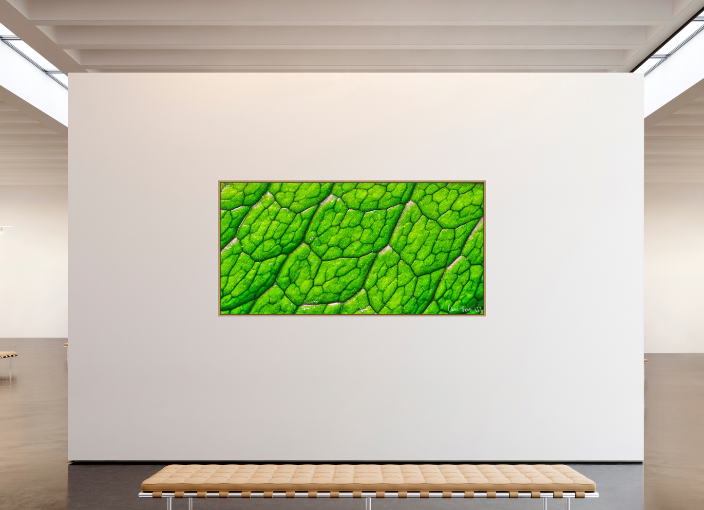 94 x 47″, Floater Frame Natural Oak Uniformed Venation