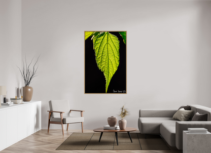 40 x 60″, Floater Frame Natural Oak Eternal Glow