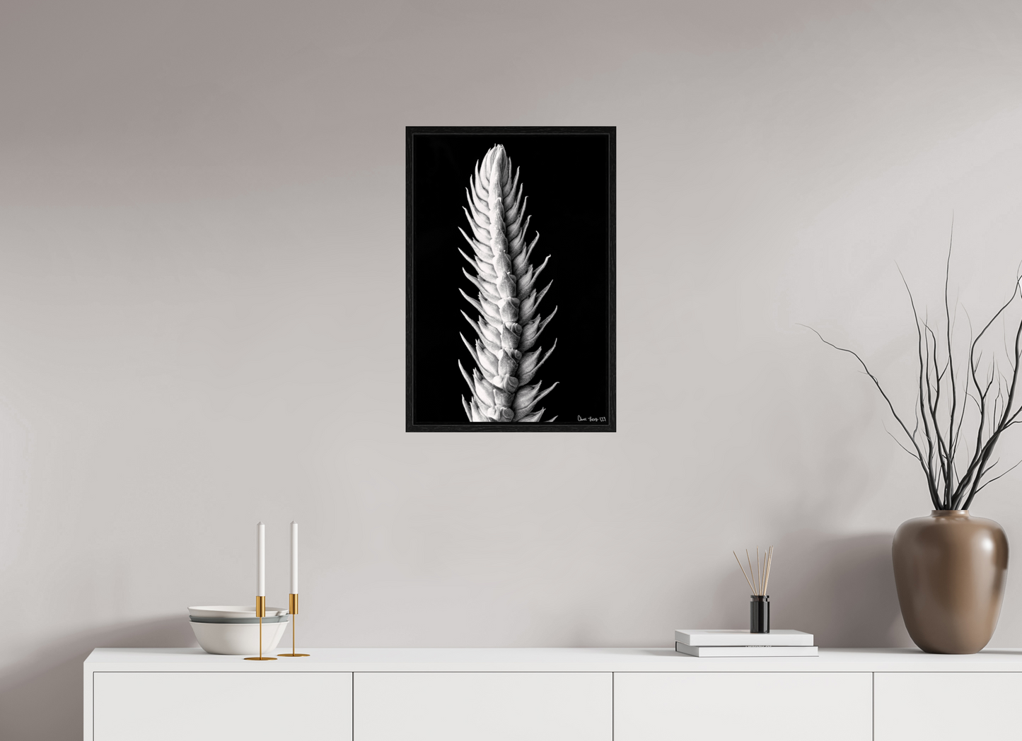 16 x 24″, Floater Frame Black Oak Vertebrae