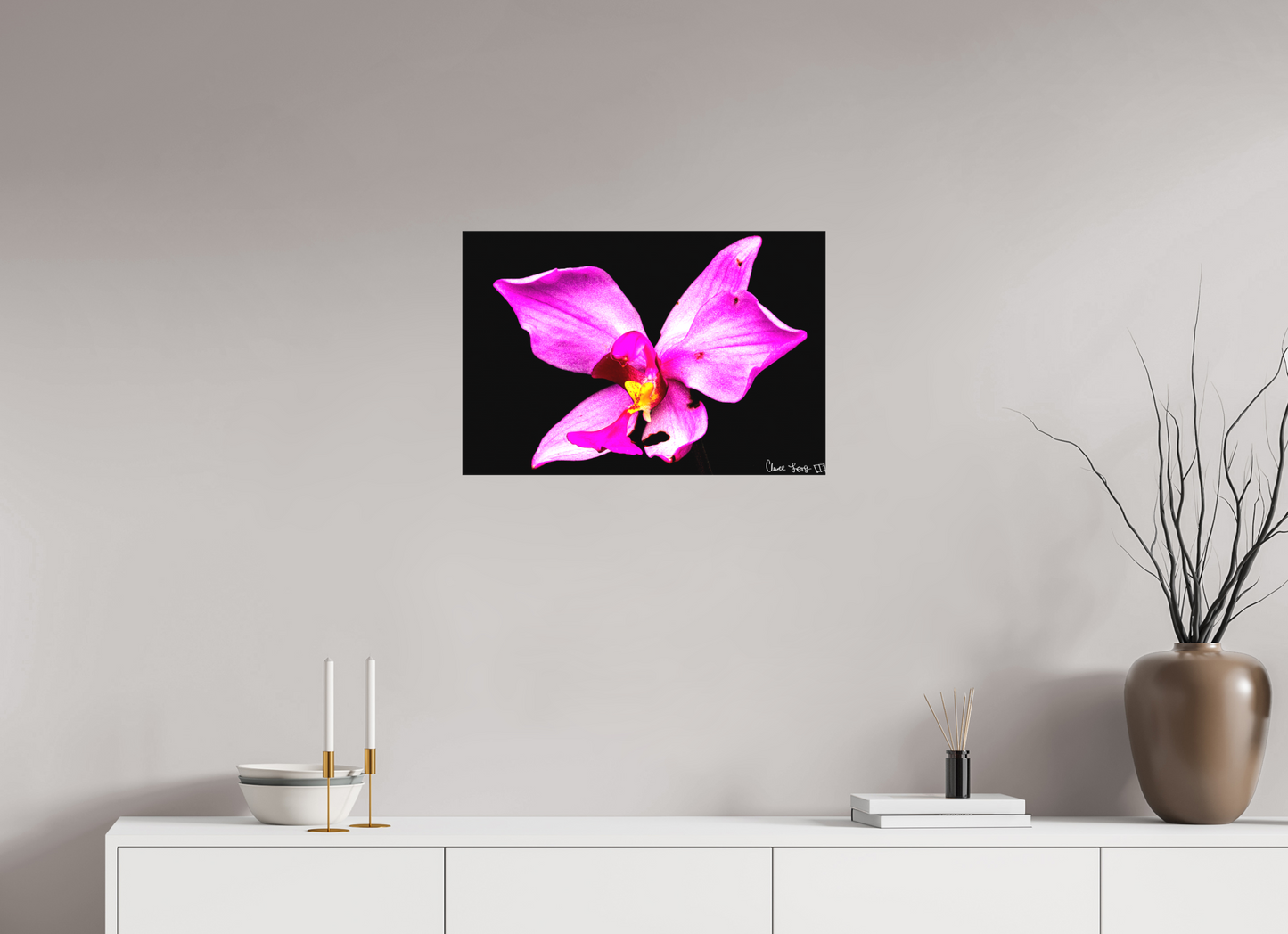 24 x 16″, Matte Canvas Efflorescence