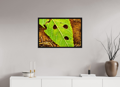 30 x 20″, Floater Frame Black Oak Flabbergasted