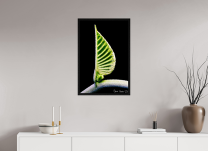 20 x 30″, Floater Frame Black Oak Ocean Odyssey