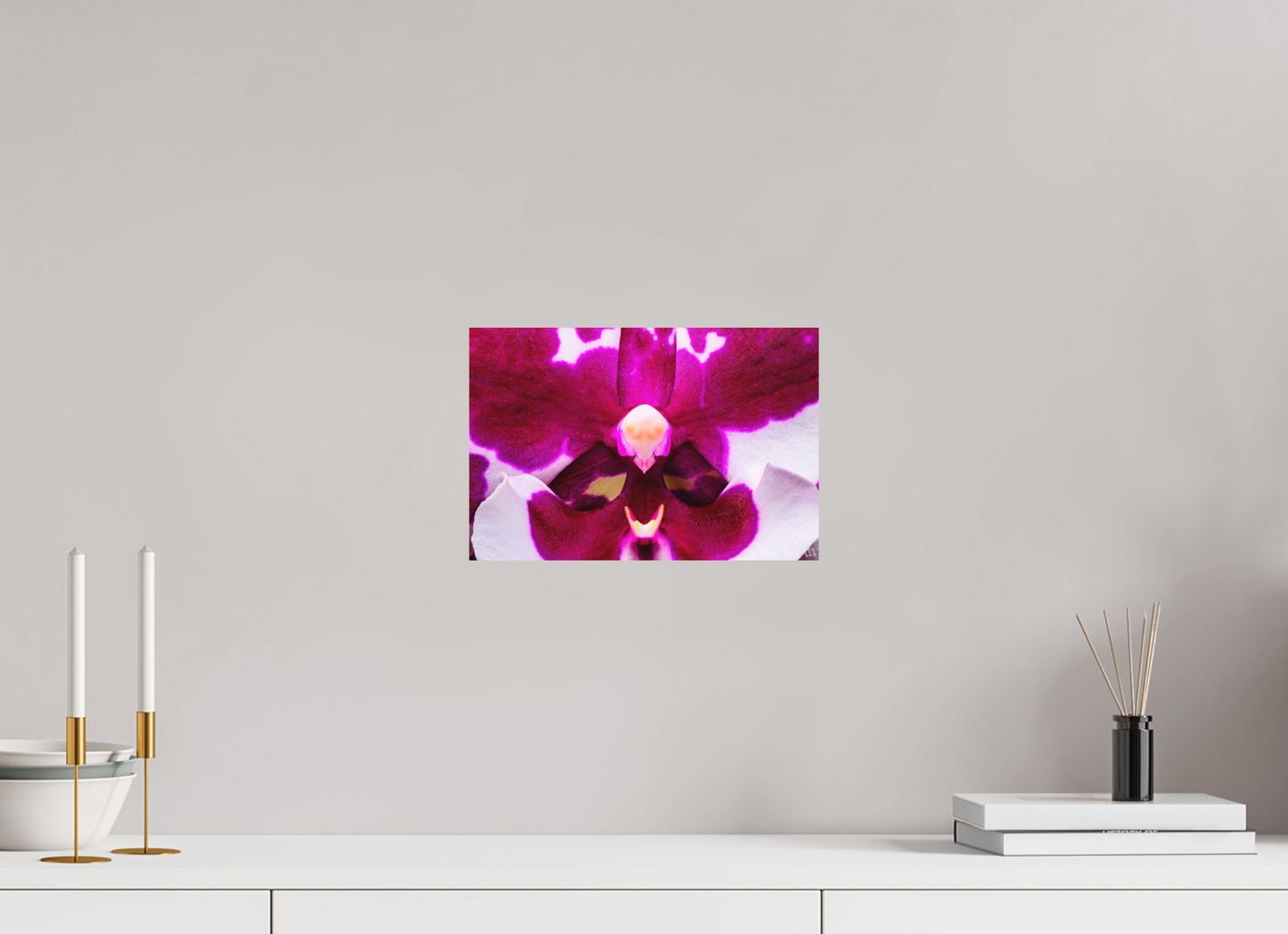 12 x 8″, Forex Droid Orchid