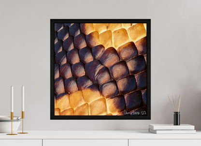 20 x 20″, Floater Frame Black Oak Python’s Glow