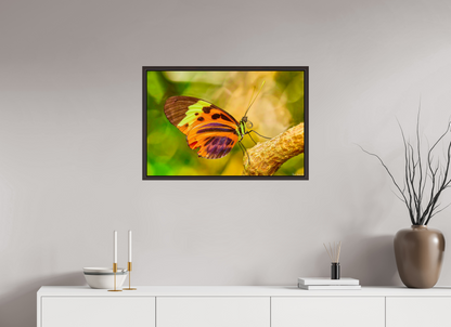 30 x 20″, Floater Frame Alder Brown Flamboyance