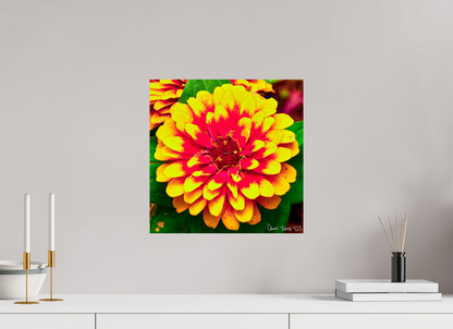 15 x 15″, Glossy Metal Radiance