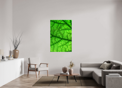 36 x 54″, Glossy Canvas Rivers & Streams