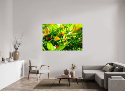 66 x 44″, Glossy Metal Prominence