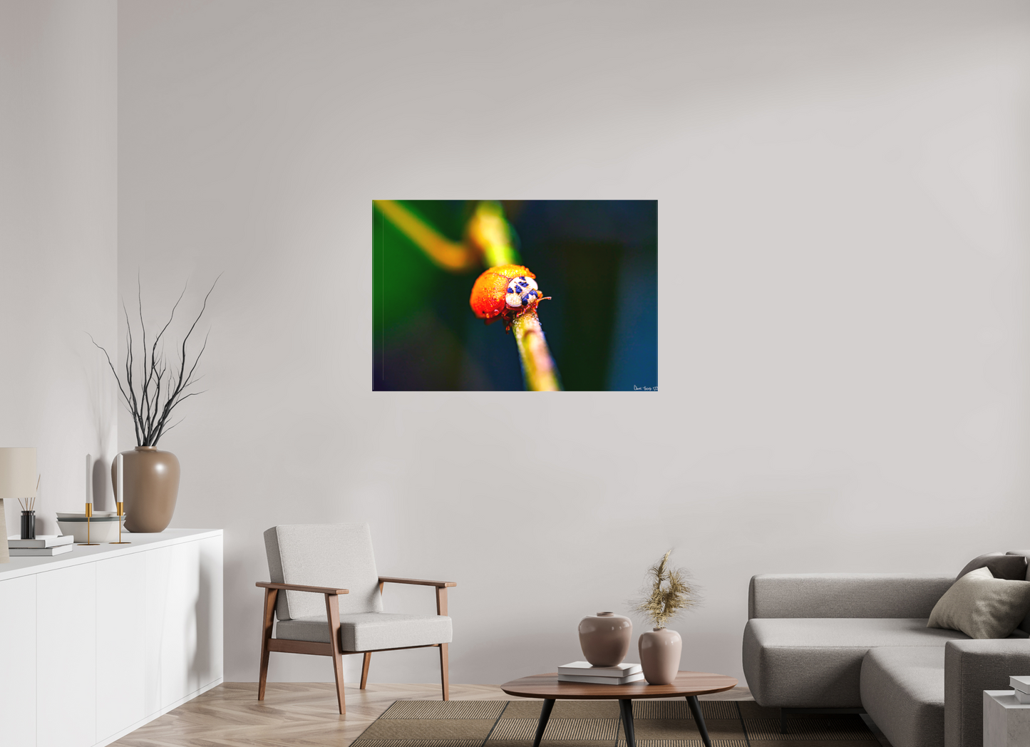 45 x 30″, Matte Canvas Dew-Kissed Ladybug