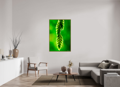 36 x 54″, Floater Frame Natural Oak Harmonic Trinity