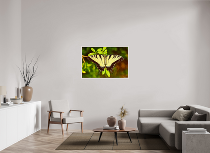 45 x 30″, Floater Frame Maple White Angel's Landing